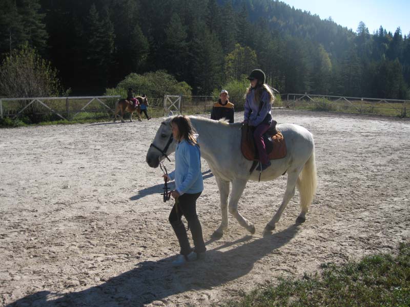 j 050
